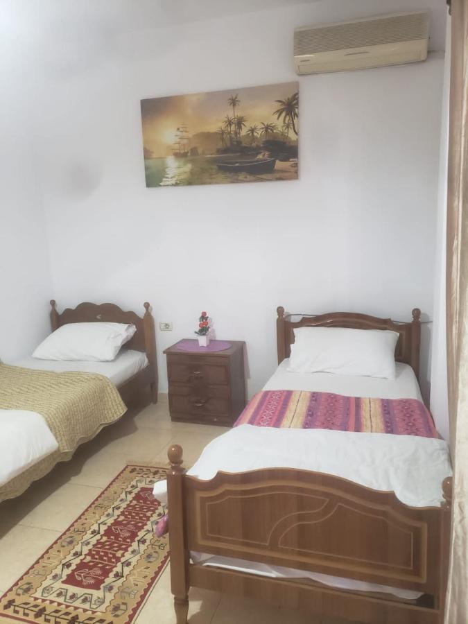 Hostel Split Rock 地拉那 外观 照片