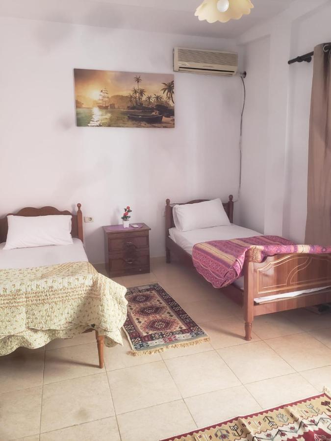 Hostel Split Rock 地拉那 外观 照片
