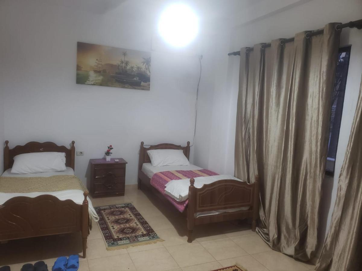 Hostel Split Rock 地拉那 外观 照片